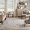 Nourison rug Lynx LNX01 IVGBL IVORY GREY BLUE 12x16 099446082237 interior 3