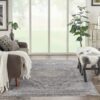 Nourison rug Starry Nights STN05 CHACM CHARCOAL CREAM 5x7 099446745576 interior 1 C