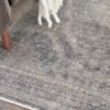 Nourison rug Starry Nights STN05 CHACM CHARCOAL CREAM 5x7 099446745576 interior 2 C