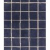 Asiatic rug Albany Grid Marine