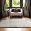 Asiatic rug Blade Border 08 Silver Grey interior