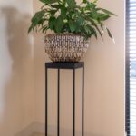 Column Oakura, Black