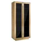 Cabinet Finsbury 2-doors, Black / Gold