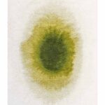 Louis De Poortere Rug, Meditation Green Pepper 2105, Drop design